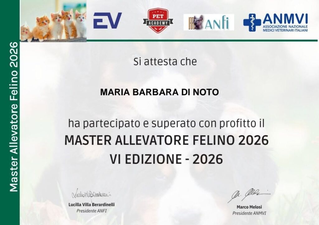 attestato master allevatore felino 2026